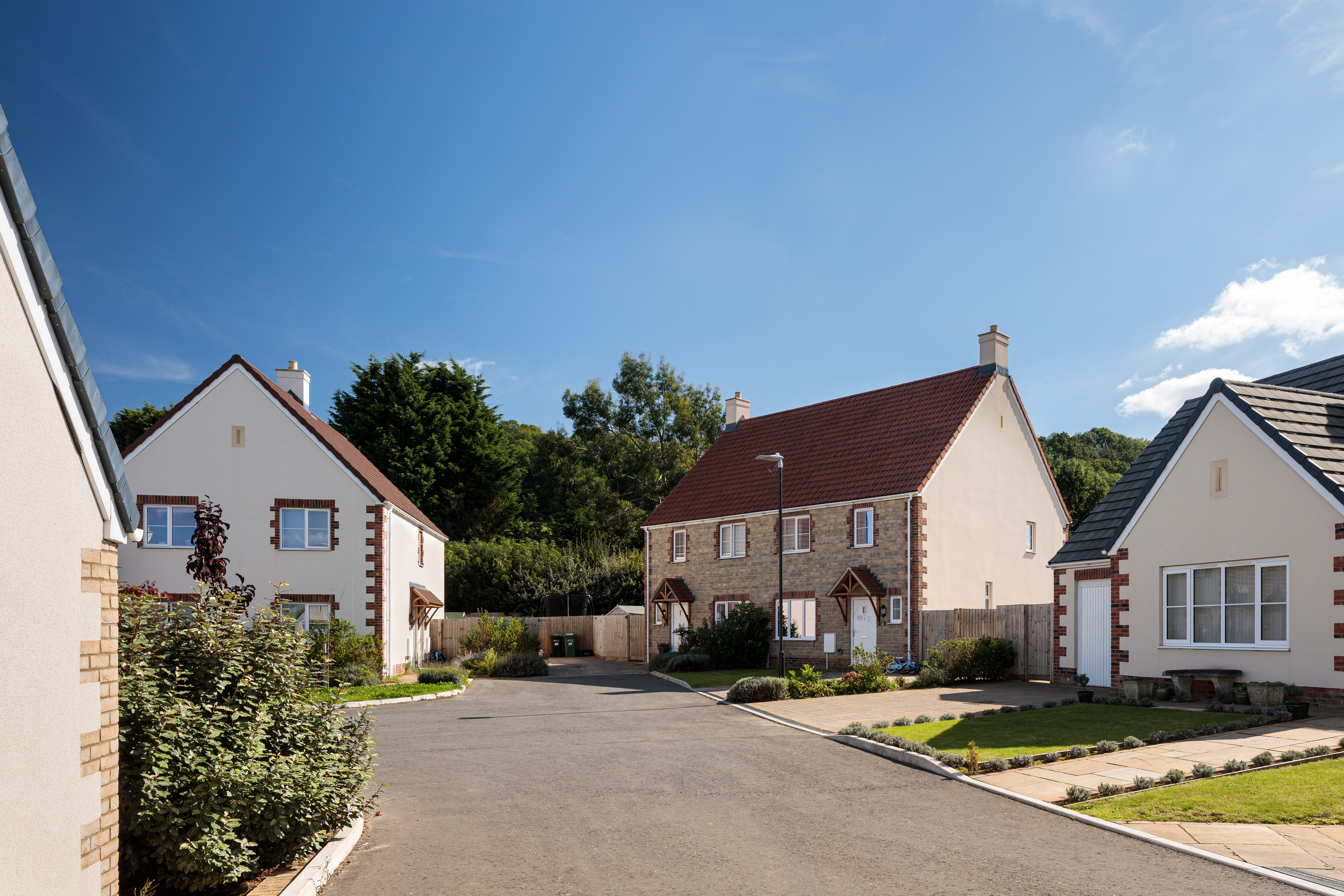 PXL_20211020_124202865 PXL_20211020_124202865