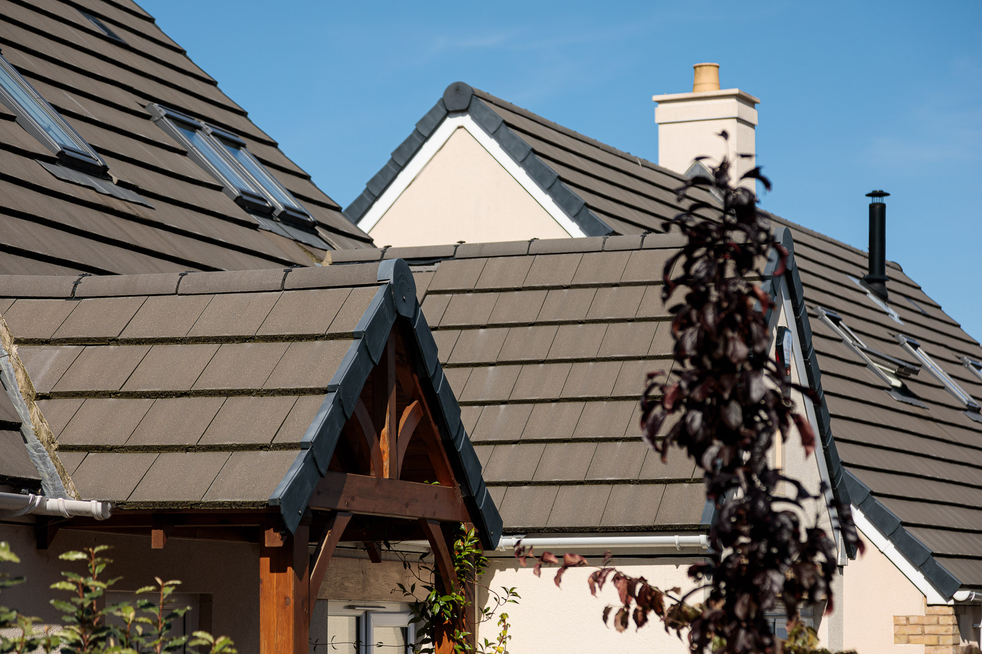 PXL_20211020_124202865 PXL_20211020_124202865