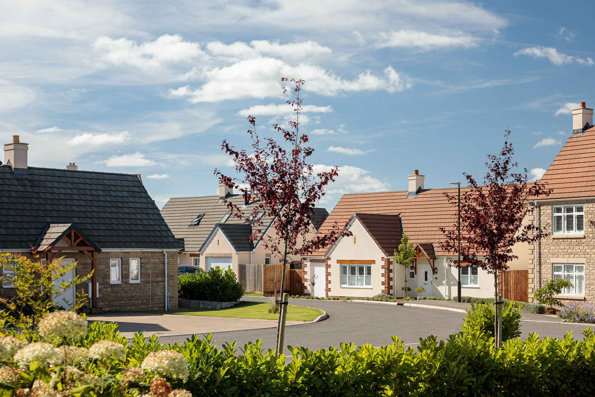 PXL_20211020_124202865 PXL_20211020_124202865