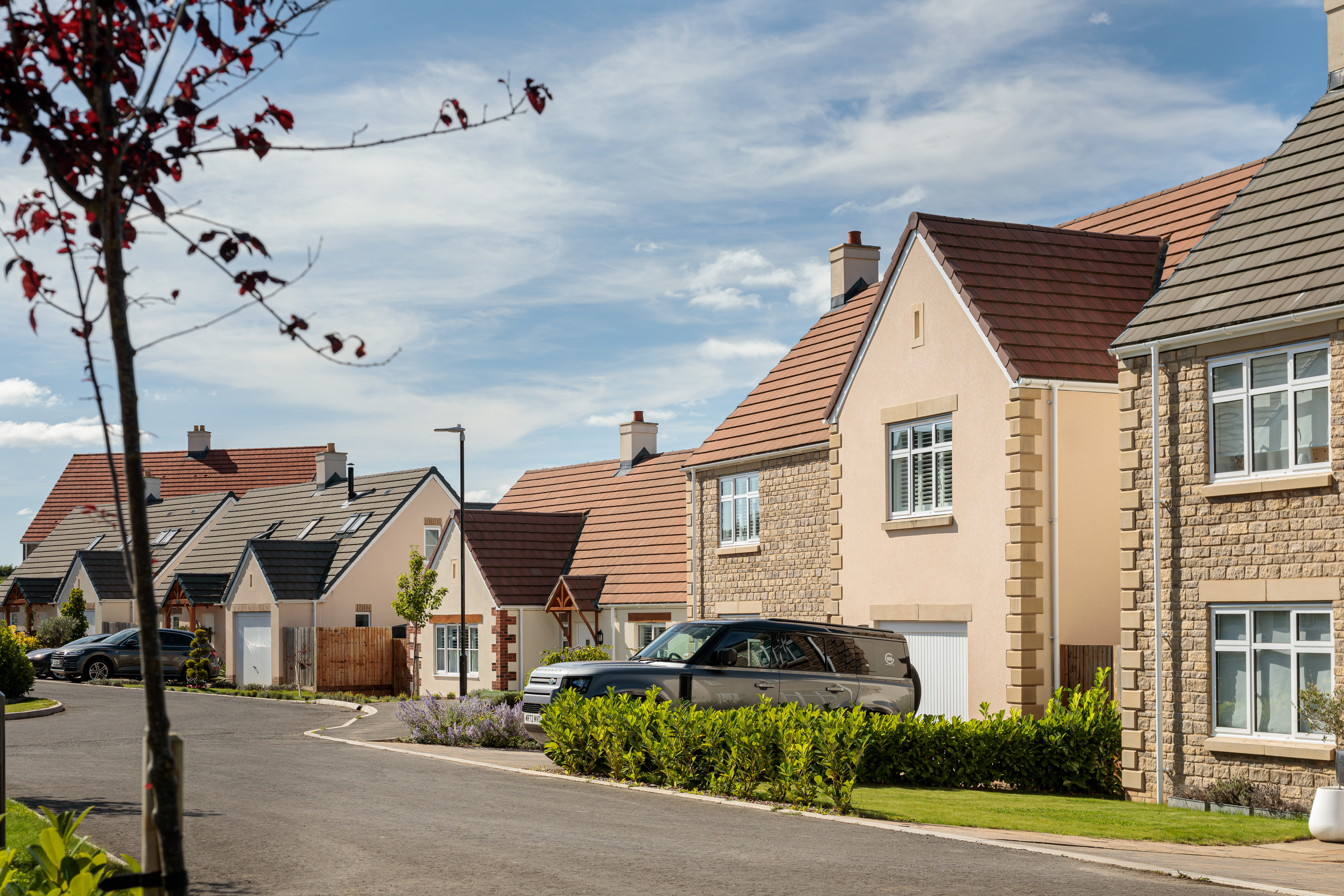 PXL_20211020_124202865 PXL_20211020_124202865