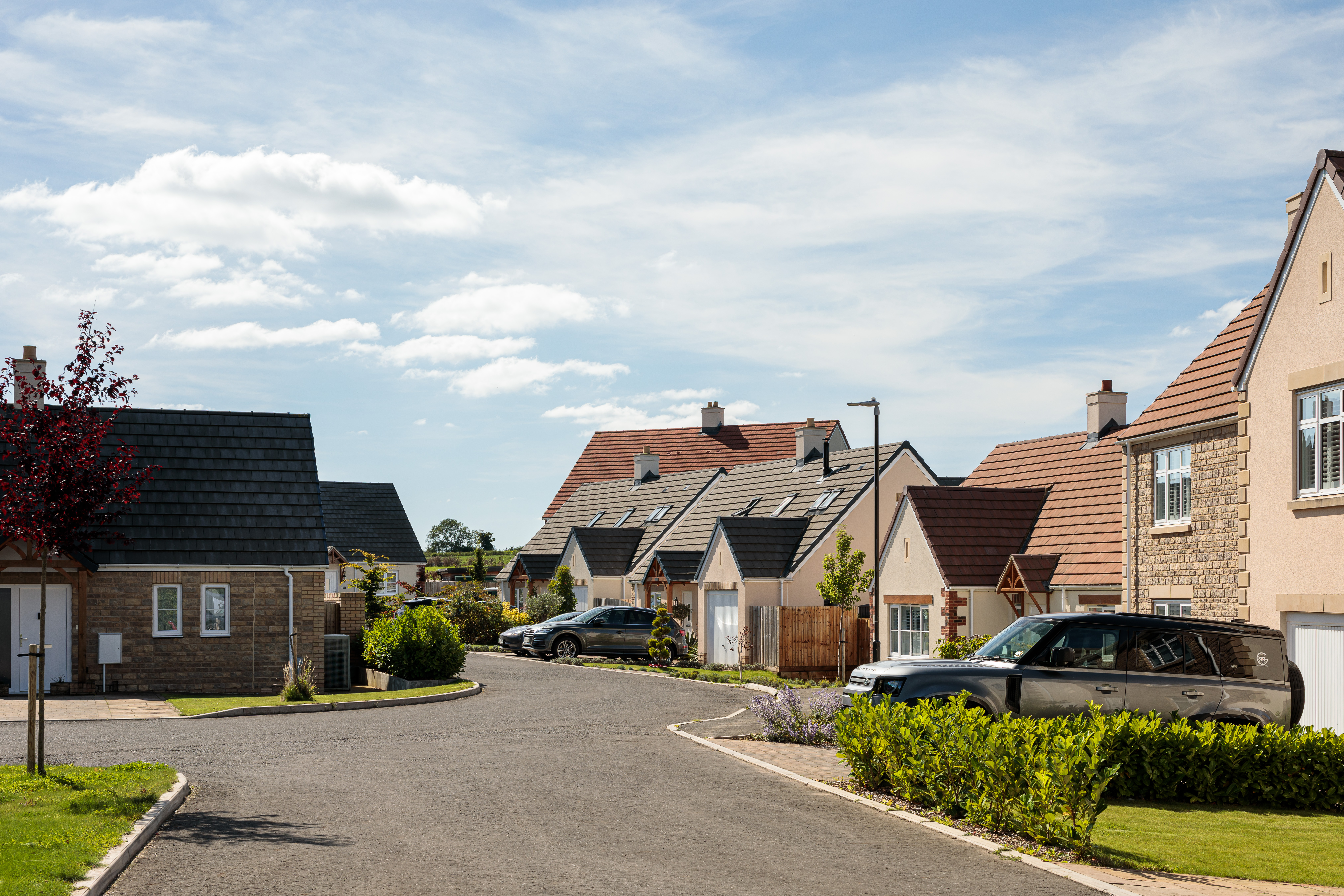 PXL_20211020_124202865 PXL_20211020_124202865