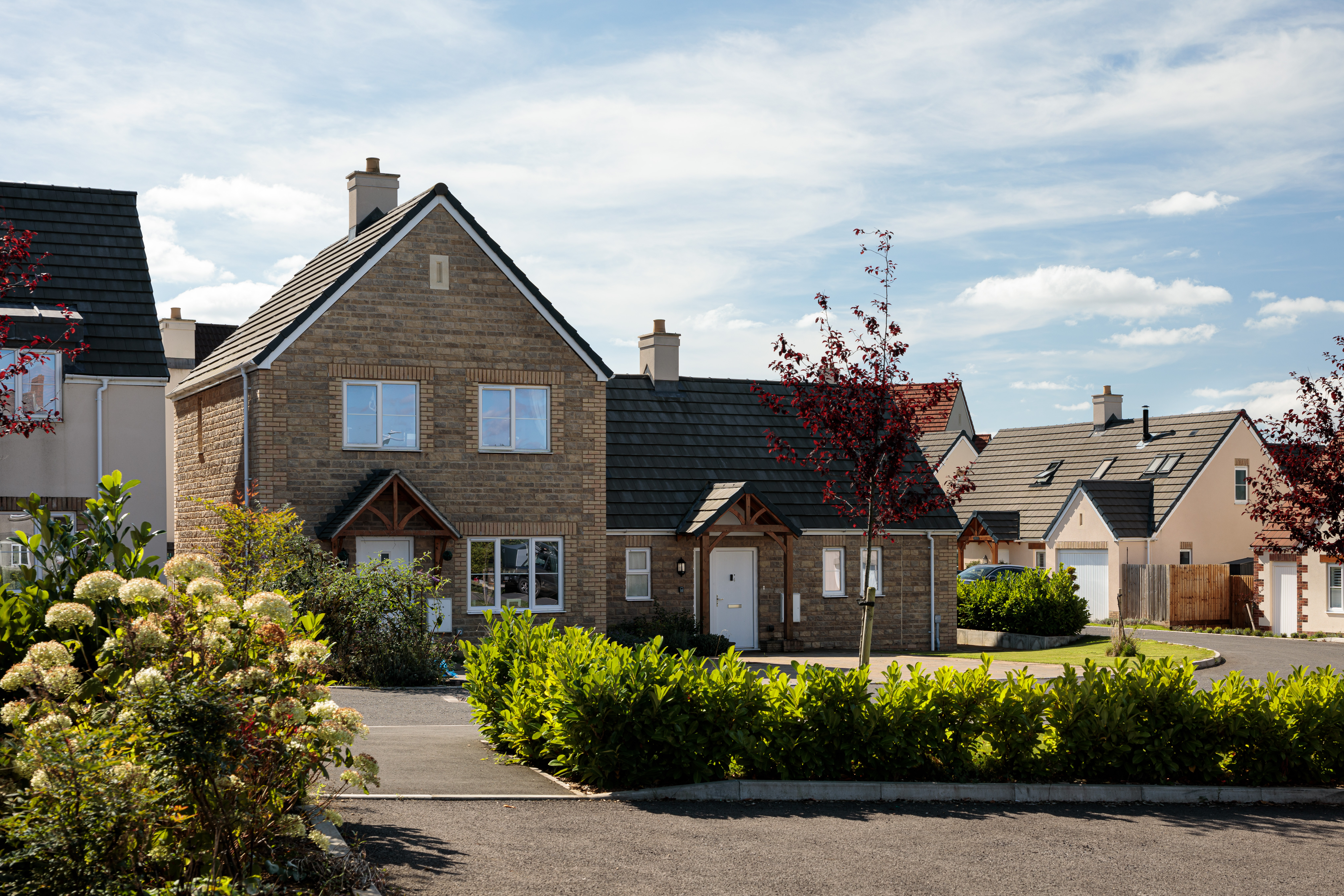 PXL_20211020_124202865 PXL_20211020_124202865